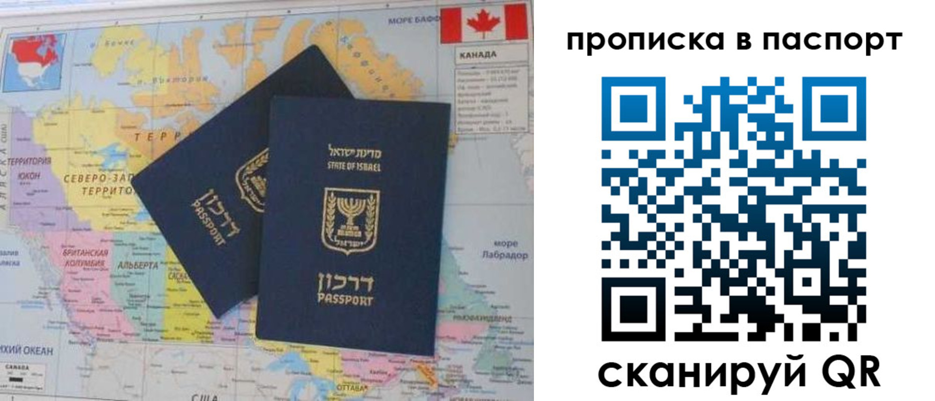 временная регистрация гарантия в Королёве